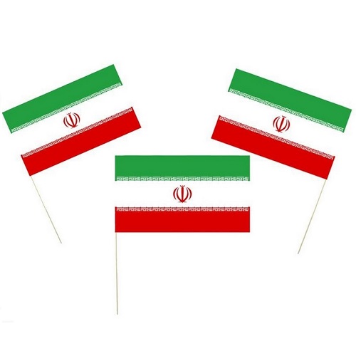 پرچم ایران کاغذی دسته چوبی بسته 1 عددی